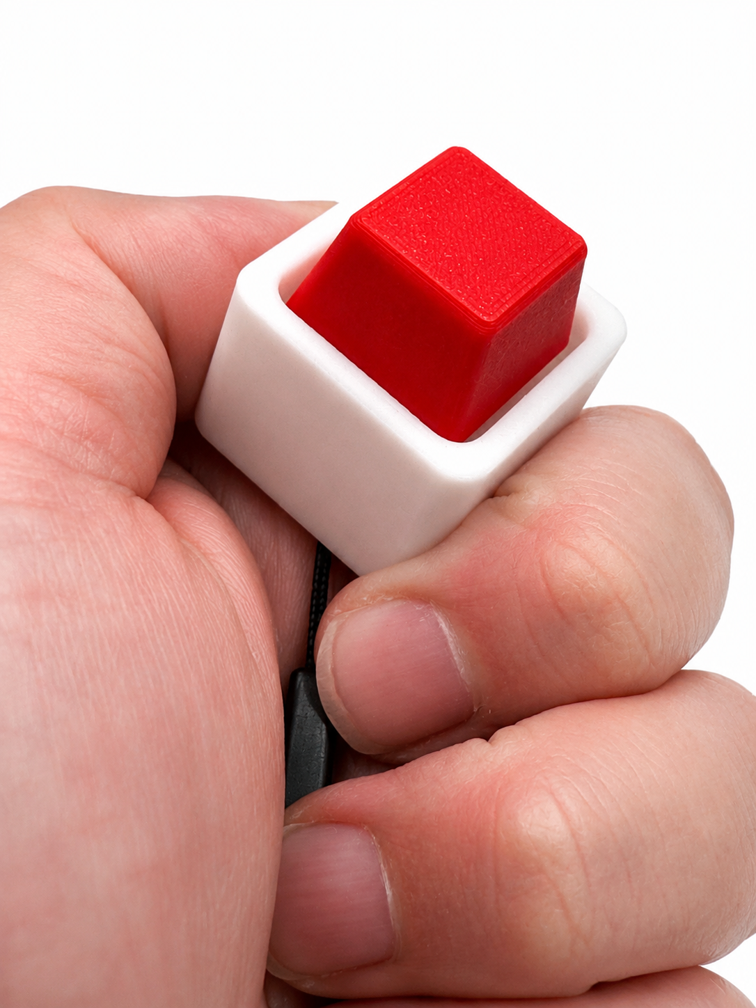 Single Fidget Keychain | Stress Relief Clicker | Mechanical Click Toy | 3D Printed Singapore